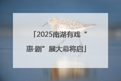 2025南湖有戏“惠·剧”展大幕将启